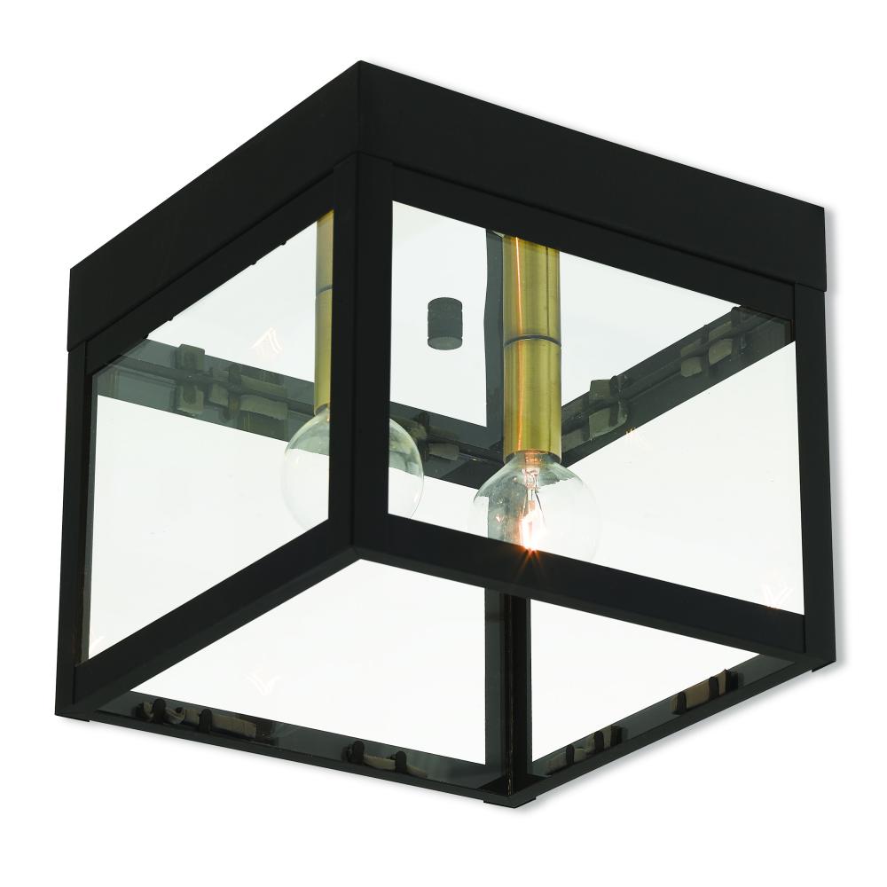 2 Lt BZ Outdoor Ceiling Mount