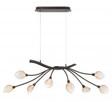 Lib & Co. US 12233-043 - Modena, 8 Light Oval LED Chandelier, Black with Gold Accent