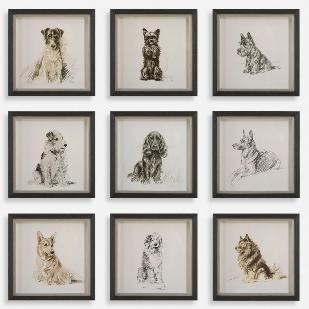 Loyal Companion Framed Dog Prints, S/9