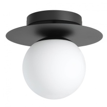 Eglo 205631A - 1L Flush Mount