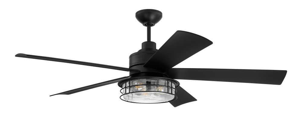 56" Ceiling Fan w/Blades & LED Light Kit, Wet Rated