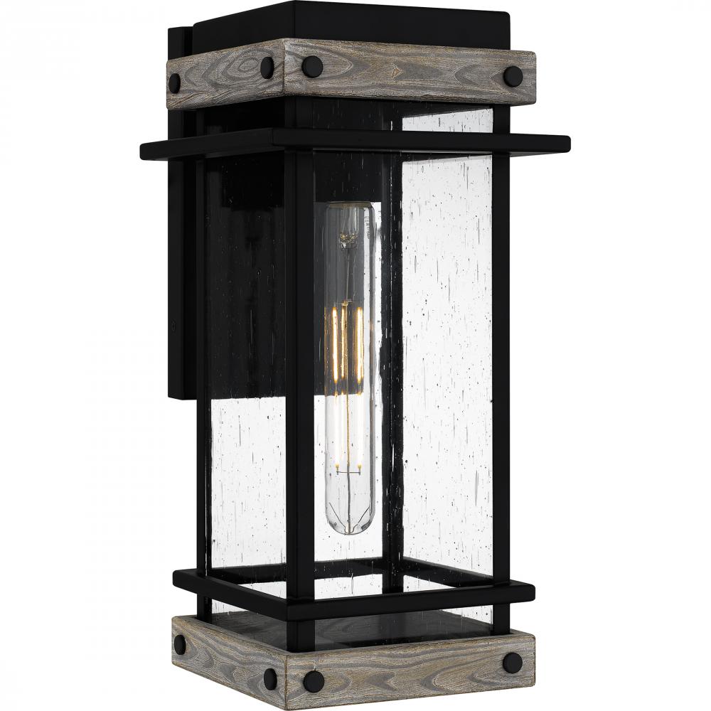 Strader 1-Light Matte Black Outdoor Wall Lantern