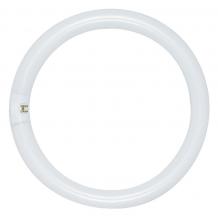 Satco Products Inc. S6501 - 22 Watt; T9; Circline Fluorescent; 6500K Daylight; 76 CRI; 4-Pin base