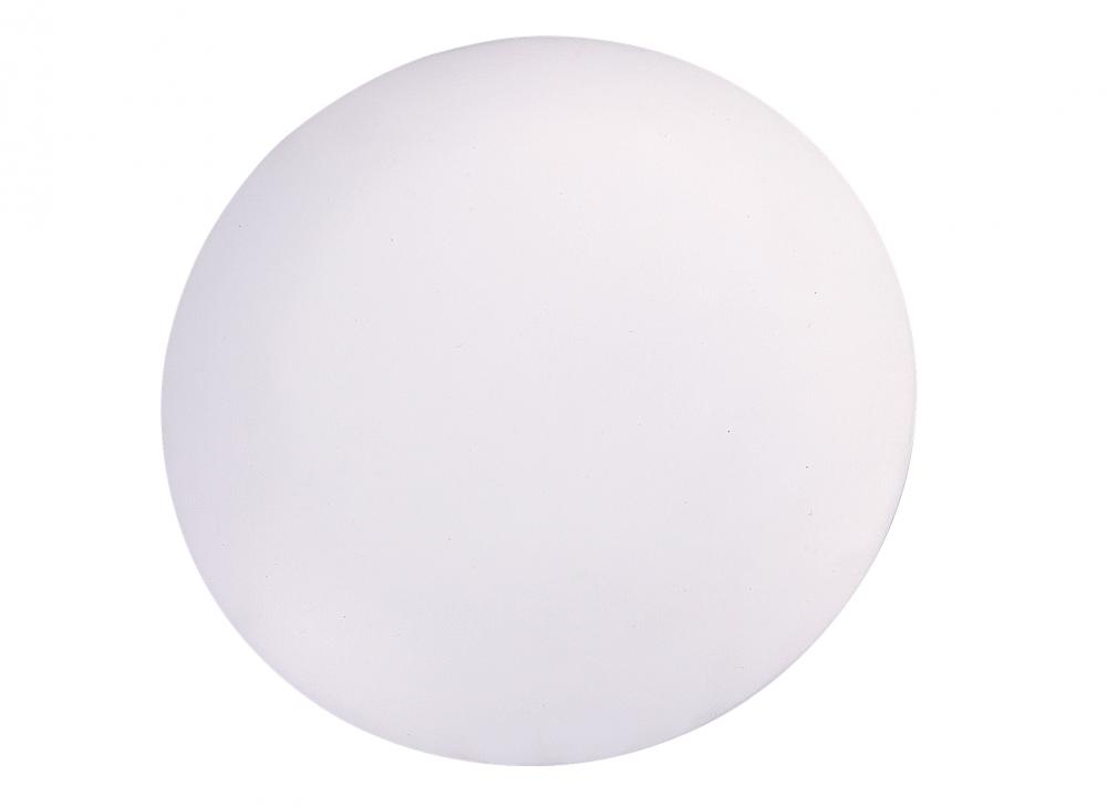 Discus Blanking Plate - Matte White