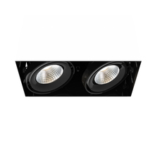 Eurofase TE222LED-30-2-01 - MuLT, 26w, Trmls, 2LT , 30k, Blk