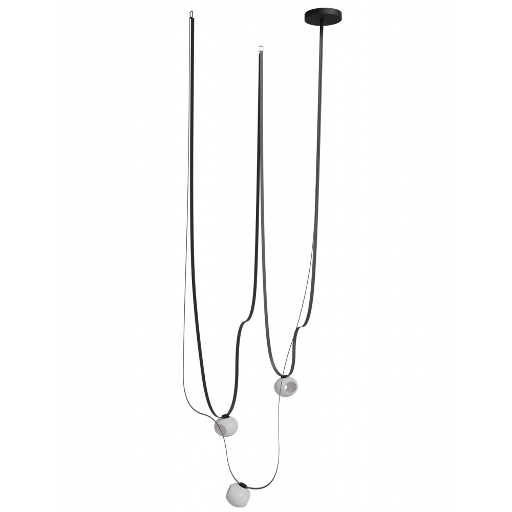 Fremont ?Belt Collection: where creativity meets connection