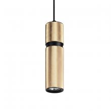 Avenue Lighting HF1075-BBK - Cicada 10" Knurled Pendant in Brass with Black