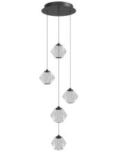 Avenue Lighting HF3905-BK - Beluga 5 Light Multi Port Pendant