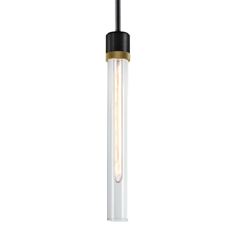 Zigrina 18" Clear Glass E26 Pendant in Black with Knurled Ring in Brass