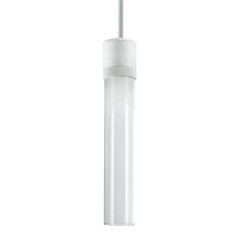 ZEEV Lighting P11702-LED-MW-G1 - Zigrina 12" Clear Glass LED Pendant with Knurl Ring Matte White