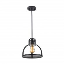 ZEEV Lighting P30042-1-DBZ - Canton 11" 1-Light, Industrial Pendant in Dark Bronze