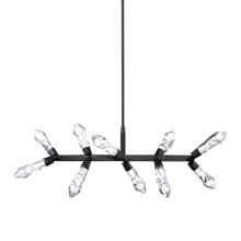 ZEEV Lighting PL11415-LED-10-SBB - Angelus 48" LED 10-Light, Crystal Linear Pendant in Brushed Black