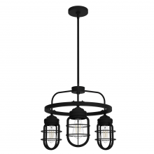 Hunter 19665 - Hunter Starklake Natural Black Iron 3 Light Chandelier Ceiling Light Fixture