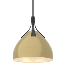 Hubbardton Forge 134502-SKT-MULT-10-86 - Summit Pendant