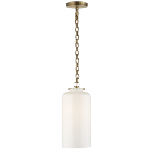 Visual Comfort & Co. Signature Collection ALL US TOB 5226HAB/G3-WG - Katie Cylinder Pendant