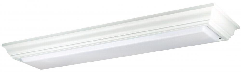 White Fluorescent Light