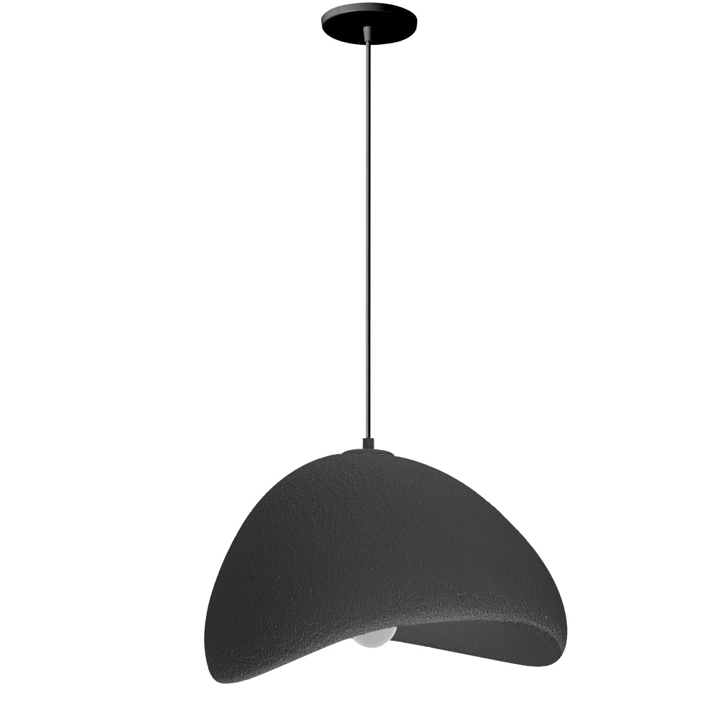 1 Light Pendant in Matte Black