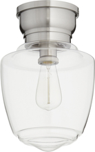 Quorum 3239-9-65 - 9" CLR ACORN CMNT - STN