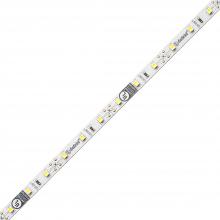 Diode Led DI-12V-FV44-8016 - FLUID VIEW 12V LED Tape Light, 80 CRI, 4400K - 16.4 ft.