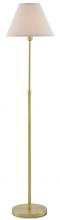 Currey 8000-0011 - Dain Floor Lamp