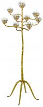 Currey 8000-0045 - Agave Americana Floor Candelabra