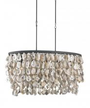 Currey 9492 - Stillwater Oyster Shell Oval Chandelier